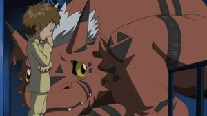 Digimon Tamers 9. epizoda