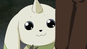 Digimon Tamers 2. epizoda