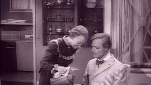 The Beverly Hillbillies 31. epizoda