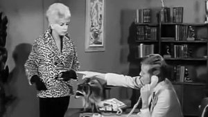 The Beverly Hillbillies 7. epizoda