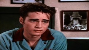 Beverly Hills, 90210 24. epizoda