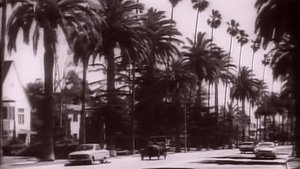 The Beverly Hillbillies 21. epizoda