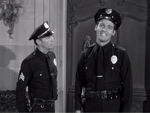 The Beverly Hillbillies 19. epizoda