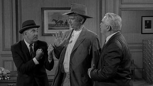 The Beverly Hillbillies 29. epizoda