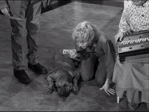 The Beverly Hillbillies 22. epizoda
