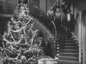 The Beverly Hillbillies 14. epizoda