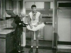 The Beverly Hillbillies 26. epizoda