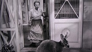 The Beverly Hillbillies 16. epizoda