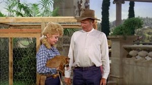 The Beverly Hillbillies 2. epizoda