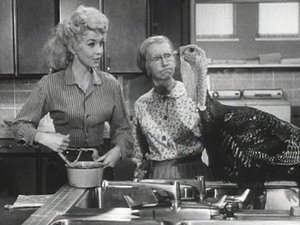 The Beverly Hillbillies 10. epizoda