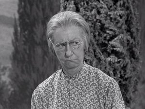 The Beverly Hillbillies 18. epizoda