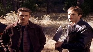 Beverly Hills, 90210 17. epizoda