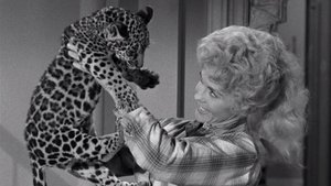 The Beverly Hillbillies 25. epizoda