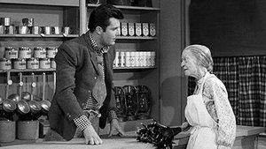 The Beverly Hillbillies 3. epizoda