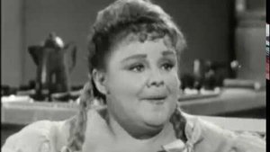 The Beverly Hillbillies 17. epizoda