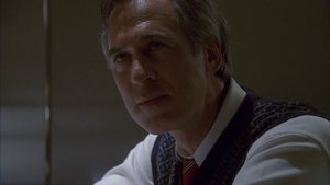 Everwood Za hlasem srdce