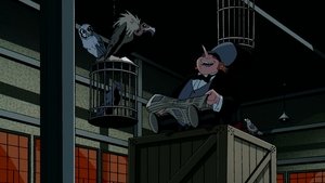 Batman vítězí Mazlíčci