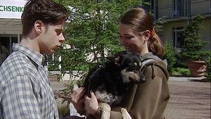 In aller Freundschaft 31. epizoda