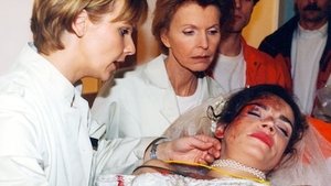 In aller Freundschaft 17. epizoda