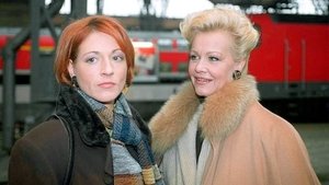 In aller Freundschaft 27. epizoda