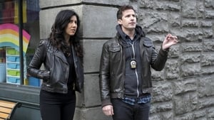 Brooklyn 99 Hledám Amy