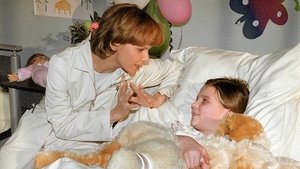 In aller Freundschaft 29. epizoda