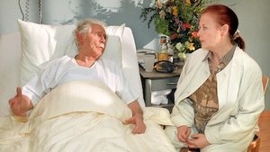 In aller Freundschaft 36. epizoda