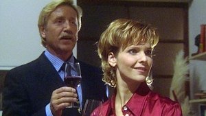 In aller Freundschaft 22. epizoda