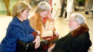 In aller Freundschaft 28. epizoda