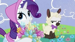 Můj malý Pony: Přátelství je magické Navždy hříbětem