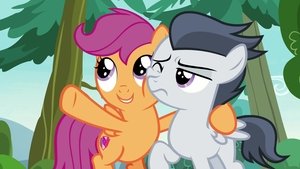 Můj malý Pony: Přátelství je magické Znaménka a zábava
