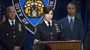Brooklyn 99 Zločin a trest