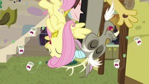 Můj malý Pony: Přátelství je magické Nesourodý soulad