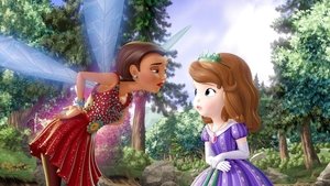 Sofie První Tajemné ostrovy: Princezna a ochránce