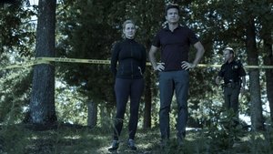 Ozark Nadvláda