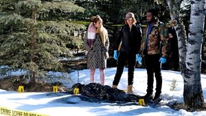 Wynonna Earp Forever Mine Nevermind