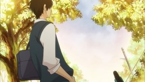 Kimi ni Todoke: Ode mě pro tebe Night Talk