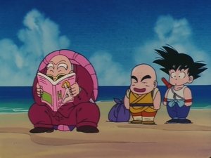 Dragon Ball 14. epizoda