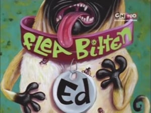 Ed, Edd n Eddy 20. epizoda