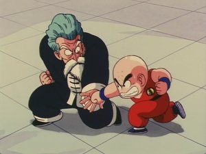 Dragon Ball 24. epizoda