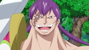 One Piece 803. epizoda