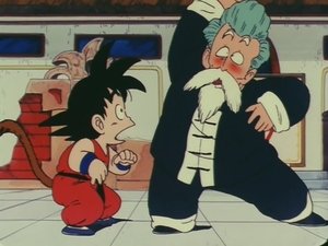 Dragon Ball 26. epizoda