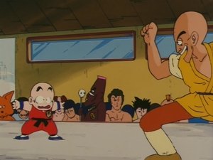 Dragon Ball 20. epizoda