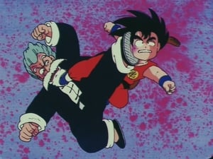 Dragon Ball 28. epizoda