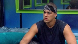 Big Brother 33. epizoda