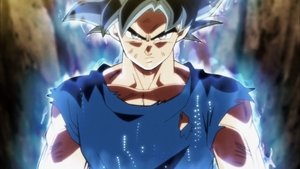 Dragon Ball Super 110. epizoda