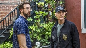 Námořní vyšetřovací služba: New Orleans  Virál