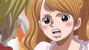One Piece 810. epizoda