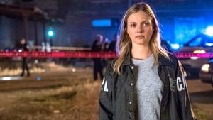 Policie Chicago Padlý hrdina
