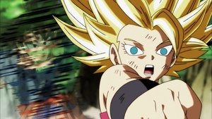 Dragon Ball Super 113. epizoda